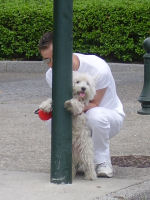 Valence